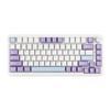 MechLands AJAZZ AK820 MAX HE Hall Effect Gaming Keyboard with Adjustable 8KHz Polling Wired Rapid Magnetic Creamy RGB NKRO for Actuation, Rate,