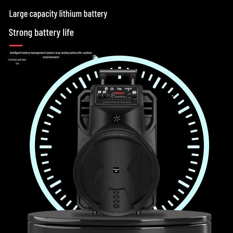 Newmine N509 Portable Outdoor Karaoke Speaker