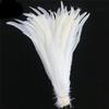 Top Quality 50 Pcs Pure White Rooster Tail Feather 30-35Cm 12-14Inch Natural Feathers Wedding Decoration Clothing Accessories