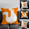 Fried Chicken PPopeyeS Cushion Cover Elegant Comfort Pillowcase Sofa Bed Doublesided Printed Invisible Zipper Home Decor