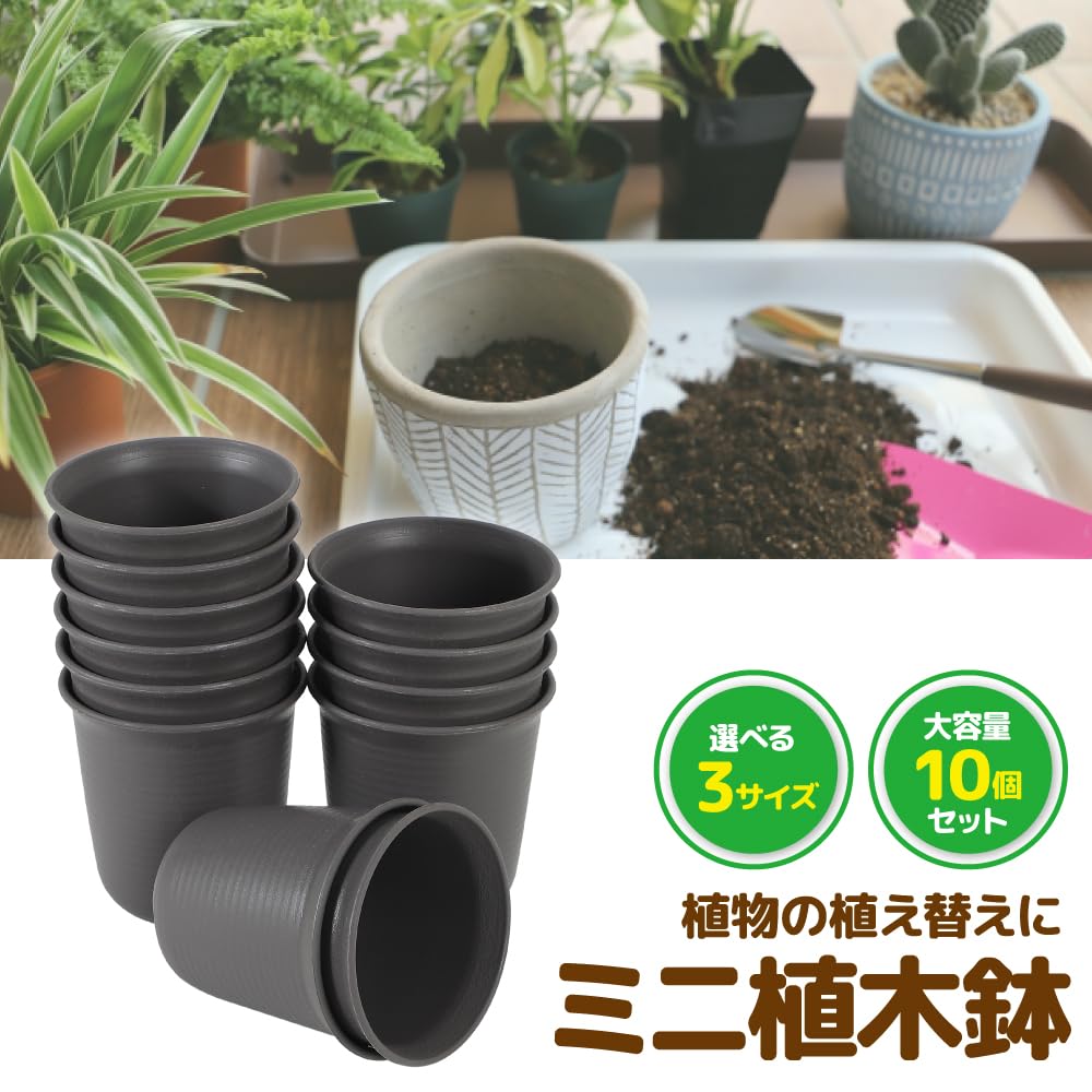 Мини-пластиковые цветочные горшки AllBright с дренажным набором для садовых суккулентов и кактусов, 10 штук (Диаметр 9 см, набор из 10 штук)