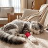 Breathable Pet Protection Cover Elastic Knee Paw Net Sleeve  Wound Recovery