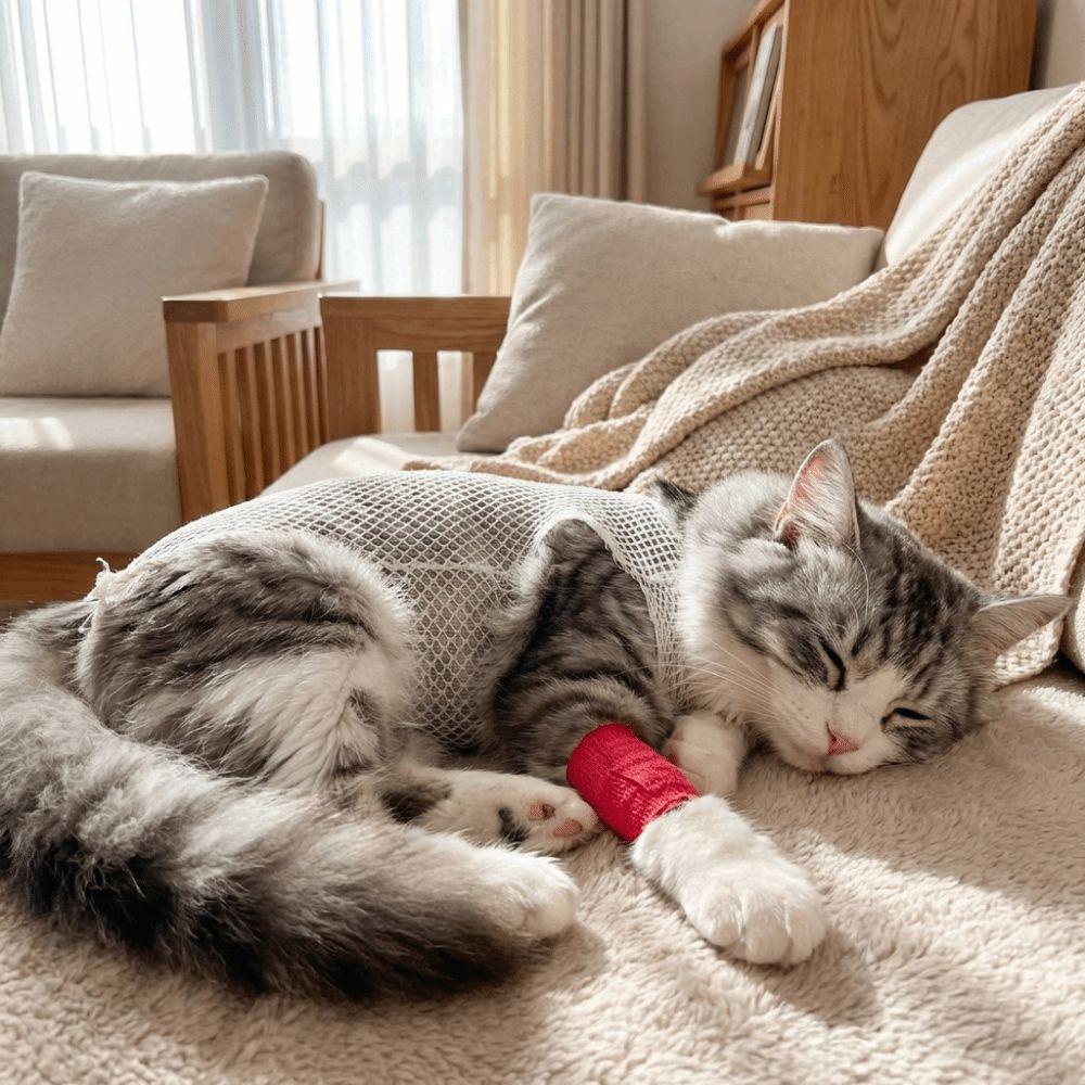 Breathable Pet Protection Cover Elastic Knee Paw Net Sleeve Wound Recovery