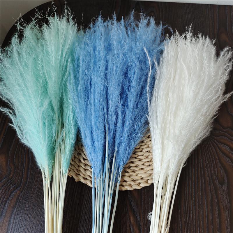 Cattail Dried Flower Bouquet - Preserved Flowers for Home Decor