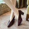 Модные ретро женские ботильоны 2025 Новые остроносые V-образные из лакированной кожи Женские туфли на высоком каблуке Простые универсальные для работы в офисе Женская обувь