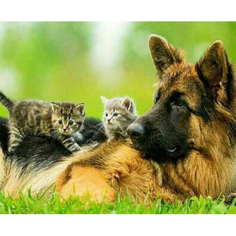 DIY 5D алмазная картина немецкая овчарка полная круглая дрель животное собака домашнее животное алмазная вышивка крестом мозаика домашний декор