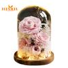 Стеклянная крышка с цветком вечной розы со светодиодной подсветкой, деревянное основание, консервированный стеклянный купол настоящей бесконечности, подарок для жены, подруги, жены на День Святого Валентина