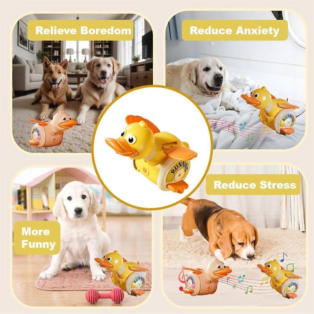 Crawling Duck Dog Toys, Interactive Dancing Duck Toys with Music Sounds & Lights