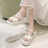 2025 New Thick-soled Cool Slippers for Women To Wear Outside In Summer, Beach Sandals Fashion Two Wear One-word Drag