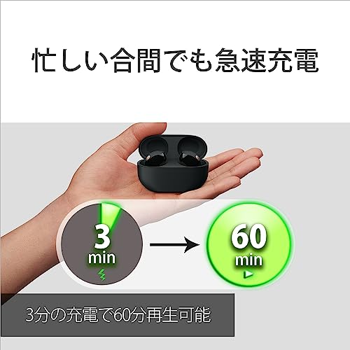 Sony Шумоподавляющие наушники WF-1000XM5: Модель MISIA CM/Полностью/Платиновое серебро WF-1000XM5 SC