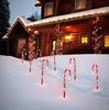 Cross-Border LED Solar Candy Cane Holiday Lights: Waterproof Outdoor Decorative Lawn Lighting