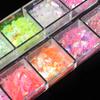 12 сеток Aurora Chameleon Nail Glitter Flakes Неправильные хрустальные стеклянные блестки Пудра Блестящая русалка Paillette Nail Art Decoration