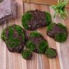 6pcs/Pack Green Moss Stone Artificial Grass Wood  Fake Rock Blocks Simulation Stones Mini Garden Decoration Garden Landscape