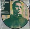 Виниловая пластинка LIAM GALLAGHER  Why Me Why Not. Picture Disc 0190295408404 Warner Records 2019 UK Rock