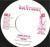 7inch Record PAM HALL - Trouble In My Life VPS8579 Joe Frasier 2002 US Reggae, Ska & Dub Used