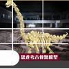 Dinosaur Skeleton Building Blocks Arrangement Model Building Blocks Intellectual Assembly Diy Small Particle Children'S Toys