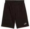 Puma Ess 2 Color No. 1 Logo 10'' Shorts