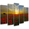 Five Piece Picture Canvas Print Field Poppy Sunset