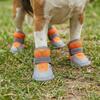 4Pcs Breathable Pet Net Boots Non-Slip Puppy Foot Covers Dog Paw Protectors  Hot Pavement