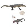 4 Pcs Lizard Life Cycle Toy PVC Realistic Educational Reptile Animal Growth Cycle Toy