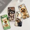 Чехол для телефона Yorkshire Terrier для Xiaomi 15 Ultra 14 13T 14T 15T 17 Pro Max POCO F8 Ultra F5 F6 F7 X5 X6 X7 Pro
