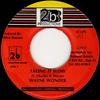 7inch Record WAYNE WONDER - Taking It Slow 2B0015 2b Productions 1995 Jamaica Reggae, Ska & Dub Used