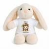 Planetee Peluche Lapin Bébé Doudou Eole Bouille Hérisson Cadeau Naissance Nouveau-Né Baby Shower
