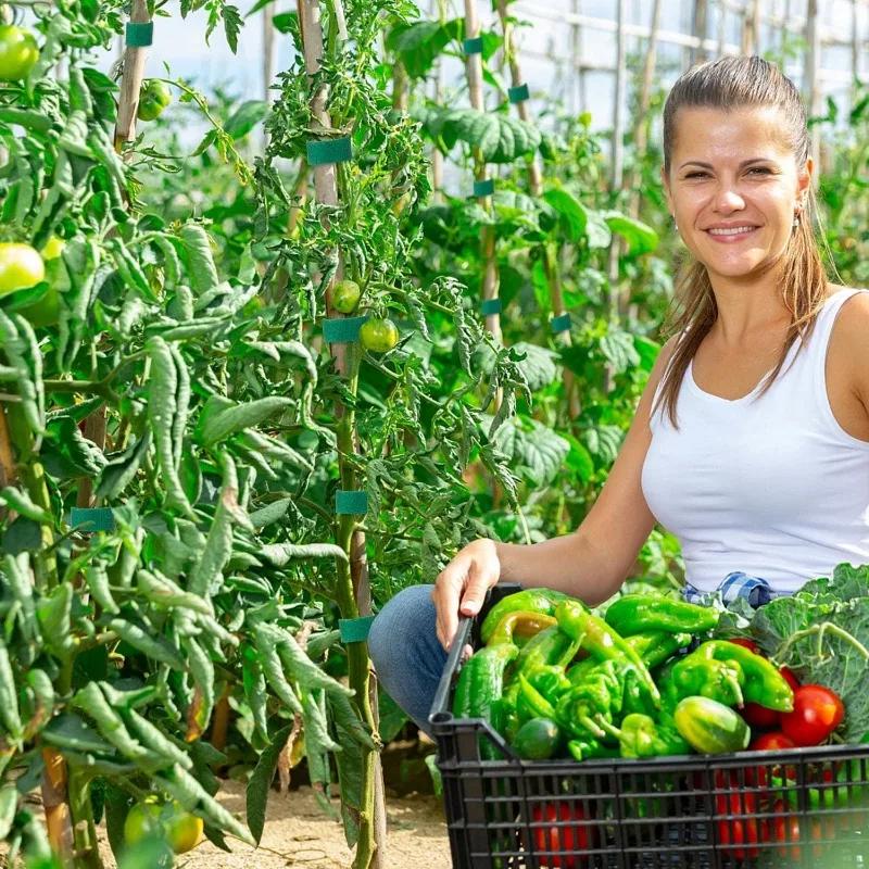 20/2 м нейлоновые стяжки для растений, крючок для повязки на растения, петля для галстука, регулируемая опора для растений, многоразовая лента-застежка для дома, сада, аксессуары