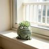 Animal Plant Pot, Animal-Shaped Resin Planter, Weather Resistant Matte Texture Plant Container for Outdoor Indoor Decor