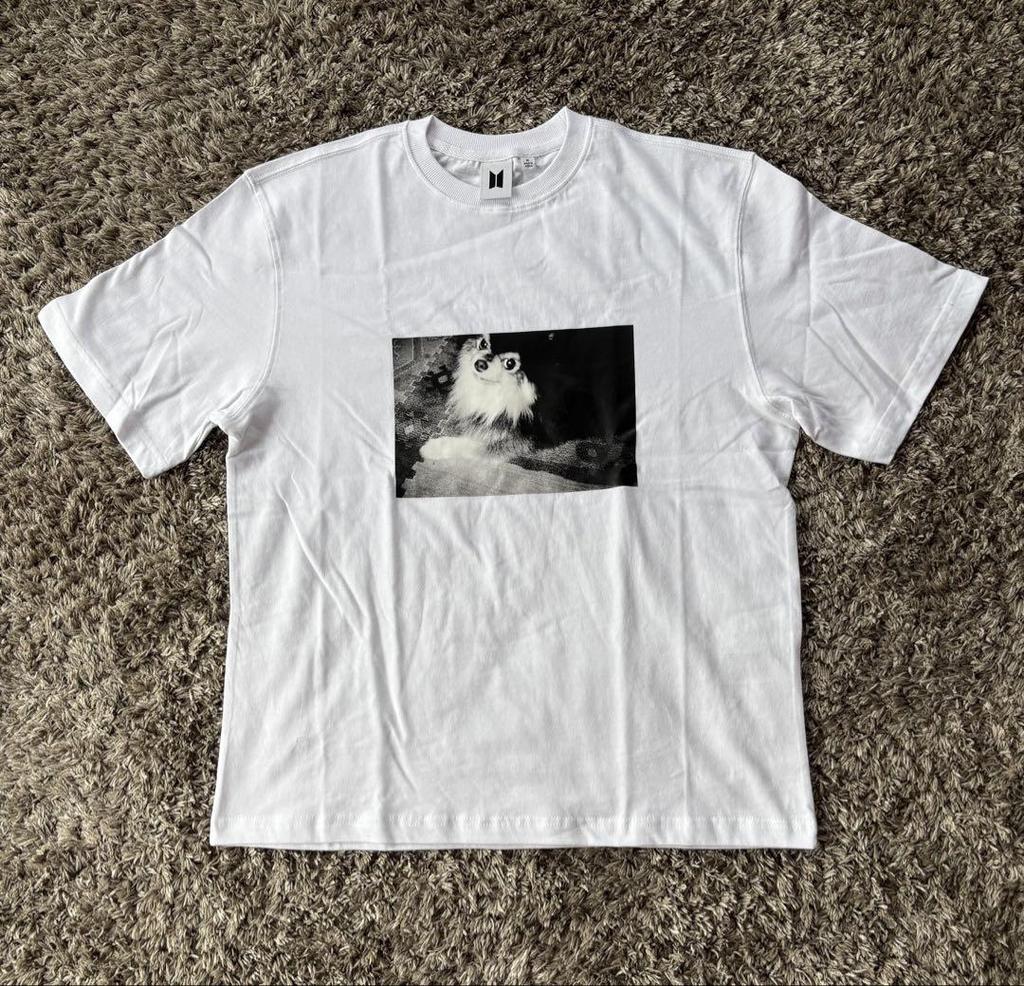 [USED] BTS V Tae Yeontan T-shirt M Size Layover