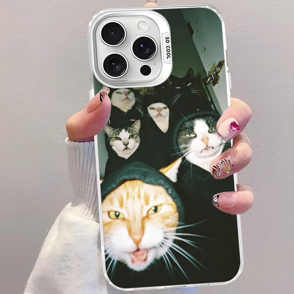 Pet Cat Funny Memes Phone Case For IPhone 16 15 14 13 12 11 Pro Max X XR XSMAX 8 7 Plus Matte Shockproof Back Cover