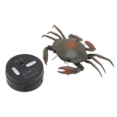 RC Краб игрушка образовательная имитация морских животных электрическая модель краба для детей на день рождения