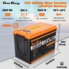 Cloudenergy 12V 300Ah LiFePO4 withBattery Pack Backup Power, 3840Wh Energy, 6000+ Cycles, Built-in 200A BMS