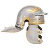 VidaXL Ancient Roman Soldier Helmet for LARP Silver Steel