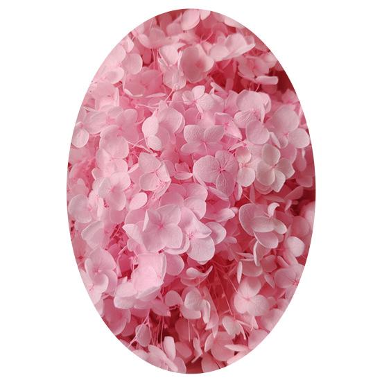 1 коробка, головки сушеных цветов, цветные, изысканные, 21 стиль, отличные привлекательные цветы гортензии, домашний декор