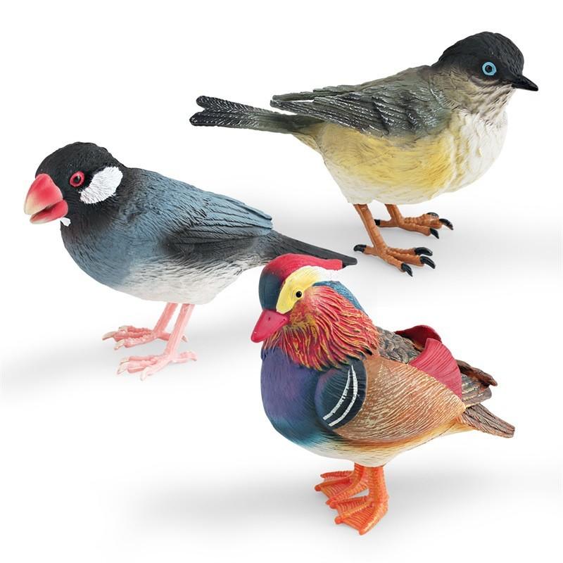 Animal Figure Desk Ornament With Static Design For Science Education And Bird Lovers