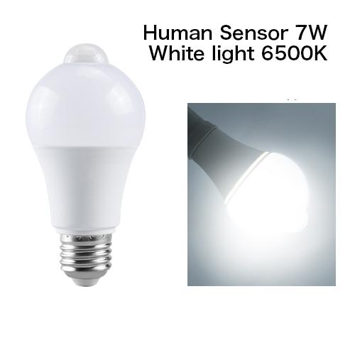 Motion Sensor LED Bulbs E27 PIR Lamp 7W Cool White 6500K LED Light Bulb Auto On/Off for Front Door, Garage, Stairs, Hallway
