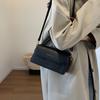Весна 2025 новые модели этого года популярная модная текстура универсальная сумка тоут на плечо сумка-мессенджер маленькая квадратная сумка женская
