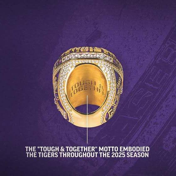Кольцо чемпионата LSU по бейсболу 2025 года - Горячая распродажа