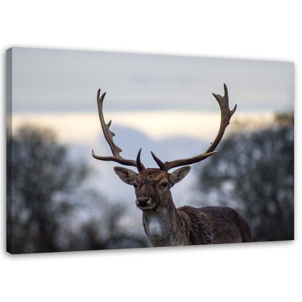 Canvas print Deer Animals Landscape Nature