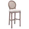 VidaXL Set of 2 Bar Stools, Pub Chair, Bistro Seat, Furniture for Dining Room Kitchen Living Room Home Interior, 245352