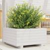VidaXL Planter White 50x50x26.5 Cm Solid Pine Wood, Outdoor Planter, Flower Box, Plant Box, Planter 847294