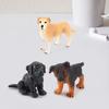 Модель собаки без запаха, твердый ПВХ, реалистичная фигурка собаки для дома
