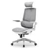 SIHOO M59AS Office Chair Desk Chair 3D Armrest 3D Headrest Automatic Adaptive Lumbar Support Rocking M59AS Flip-up Approx. 120° (Gray)