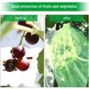 50Pcs Strawberry Grapes Fruit Grow Bags Netting Mesh Vegetable Plant Protection Bags for Pest Control Anti-Bird Garden Tools