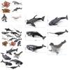 Marine Animal Pvc Model With Realistic Design For Education And Collection