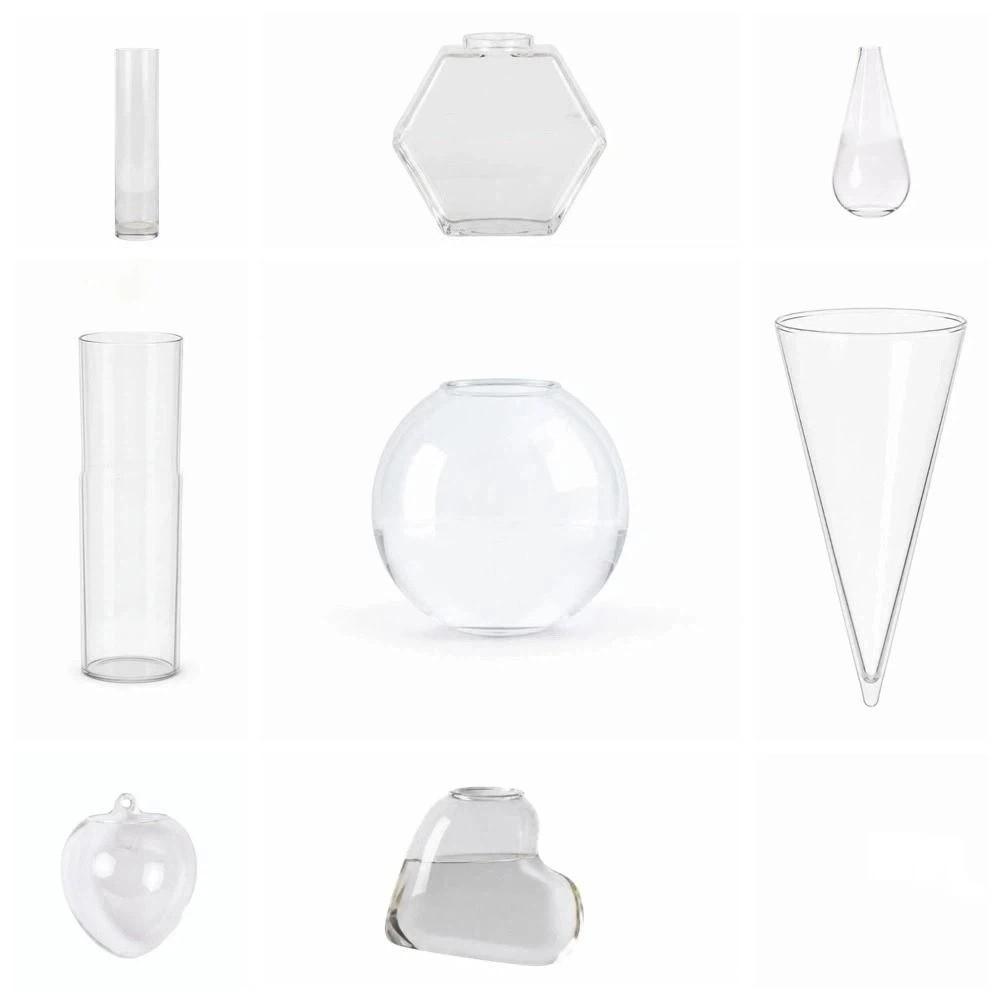 Vase Hydroponic Plant Holder Irregular Shape Wall Decoration Office Decoration