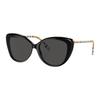 Temple Acetate Cat Eye Sunglasses Men's Black