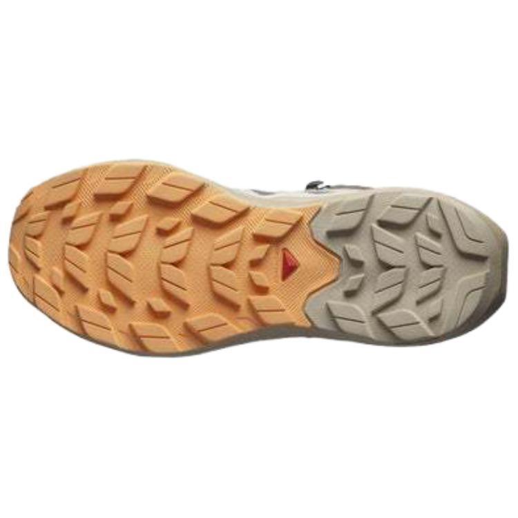 Женские ботинки Salomon Elixir Activ Wmns Mid GORE-TEX 'Falcon Papaya' L47457200