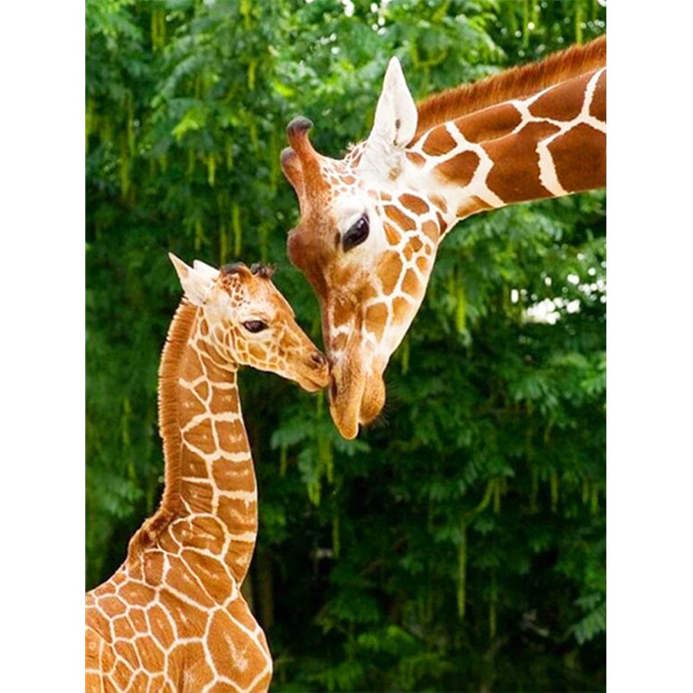 Diamond Painting Kit Panda Diamond Embroidery Cross Stitch Animal Pictures Of Rhinestones Mosaic Handicraft